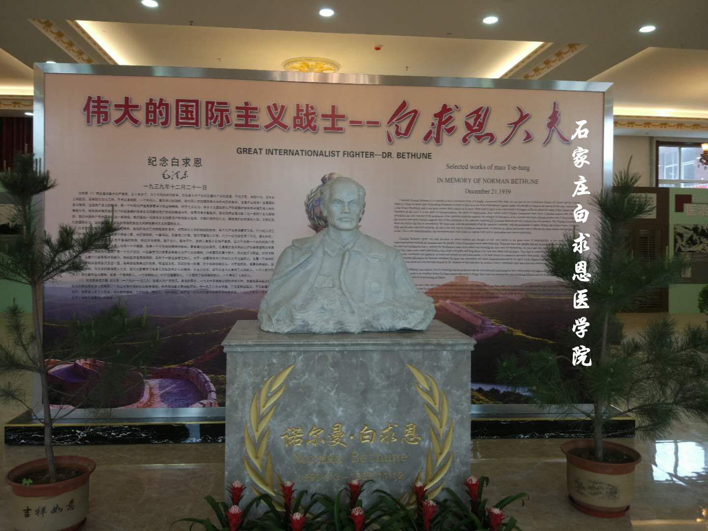 白.jpg