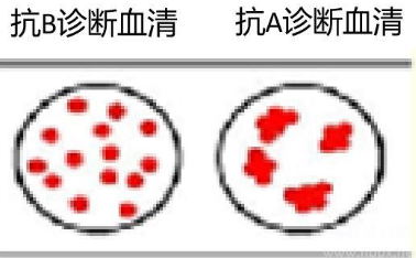 河北医学类对口试题.png