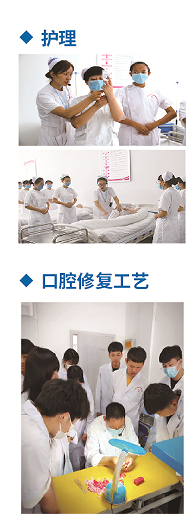 石家庄白求恩医学院就业.png