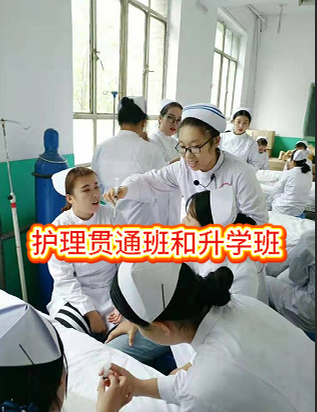 石家庄白求恩医学院护理贯通班和升学班.png